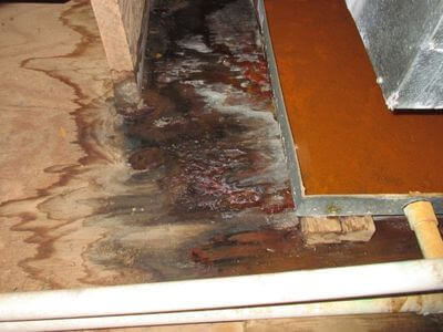 About water damage restoration service - commercial flood cleanup experts in Allen